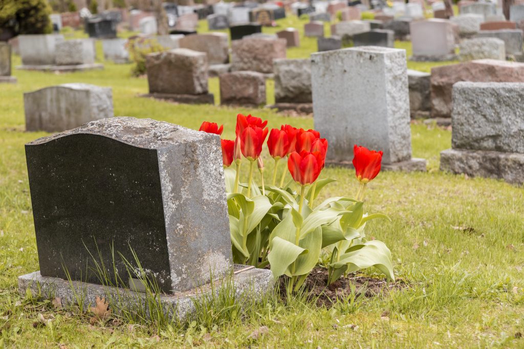 Read more about the article Conversion: To See Decisions Dead People Make, Visit the Cemetery