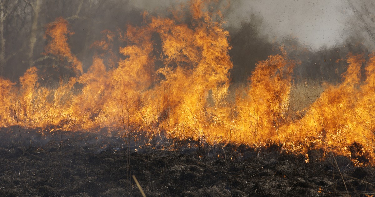 Read more about the article Escaping a prairie fire on burnt out ground
