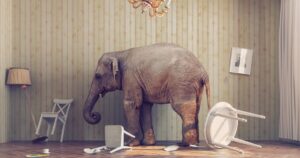 Read more about the article Two Lutheran Elephants: Negligent House Pastors and Divorce