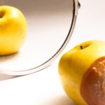 Half Truths of the Texas District LCMS President’s Convention Report